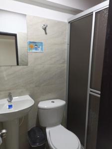 een badkamer met een toilet, een wastafel en een douche bij Hotel SAMAI in San Agustín