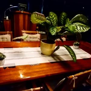 a wooden table with a potted plant on it at DonnaMarisa in Palermo