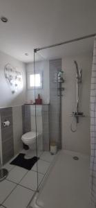 a bathroom with a toilet and a glass shower at L'AUTHENTIQUE in Eurre