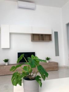 a potted plant in a room with a fireplace at Chayofa Hills - 2 Bedroom Apartment with Ocean Views and Air-condition A in Chayofa