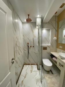 A bathroom at Classic and New brand Apartment San Stefano 9