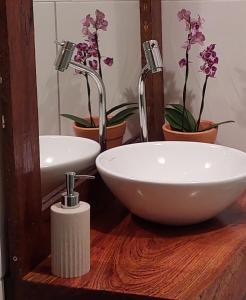 uma casa de banho com dois lavatórios e algumas plantas e flores em NAVEGA HOUSE em Navegantes