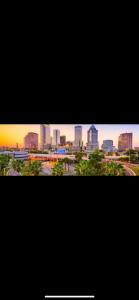 vistas al perfil urbano y edificios altos en Diamond 4, en Tampa
