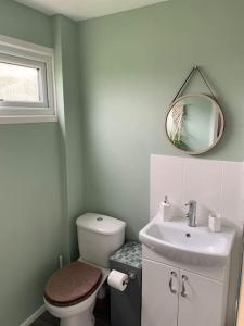 a bathroom with a toilet and a sink and a mirror at Hugo's hideaway Free WIFI in Hemsby