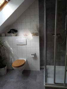 a bathroom with a toilet and a shower at Lenzer Ferienidyll am Plauer See in Lenz