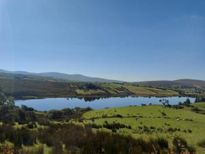 vista su un lago in mezzo a un campo di Lough View Lodge a Dunnamanagh