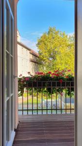 a view from a window of a porch with flowers at Pension Refugium überm Schwansee in Weimar