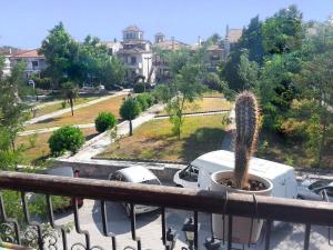 Κήπος έξω από το HOTEL AGNI -ENOIKIAZOMENA DIAMERIZMATA