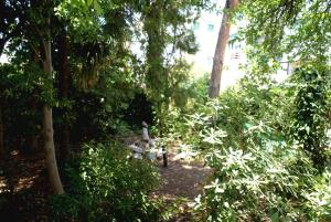 Κήπος έξω από το HOTEL AGNI -ENOIKIAZOMENA DIAMERIZMATA