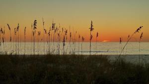 Sonnenuntergang am Strand mit Gras im Vordergrund in der Unterkunft Sand Dunes Townhome C1 in St Pete Beach