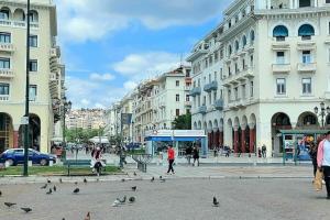 grupa gołębi na ulicy miejskiej z budynkami w obiekcie Liva Studio center Thessaloniki, Agias Sofias w Salonikach