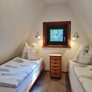 zwei Einzelbetten in einem Zimmer mit Fenster in der Unterkunft Wanderhütte Zum Bernhardsthal in Bernhardsthal