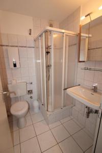 een badkamer met een douche, een toilet en een wastafel bij Haus Norderhoog Wohnung 80 in Westerland