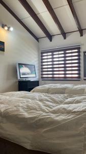 1 dormitorio con 1 cama, ventana y TV en M&E Dpto Zona Primitiva en Ushuaia