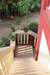 een trap met een bank en potplanten bij Peace Lily Studio Apartments Panglao in Panglao