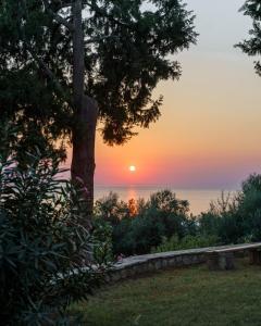 einen Sonnenuntergang über dem Wasser mit einem Baum in der Unterkunft Sea View Villa with 4 bedrooms - grECOrama in Monodhéndrion