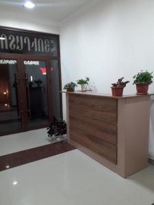 eine Lobby mit einer Theke mit Topfpflanzen darauf in der Unterkunft ERA Hotel in Gjumri