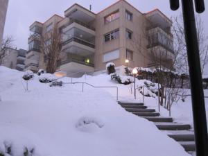 2.5-Zimmer-Wohnung Balkon freie See- und Bergsicht, Garage PPe v zimě