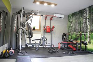 Posilňovňa alebo fitness centrum v ubytovaní Danielówka w lesie