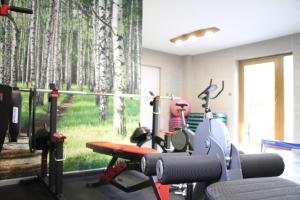 Posilňovňa alebo fitness centrum v ubytovaní Danielówka w lesie