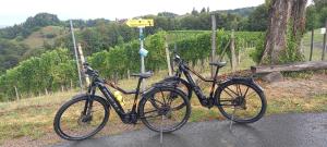 two bikes parked on the side of a road at Appartement Fam.Kremser in Leutschach