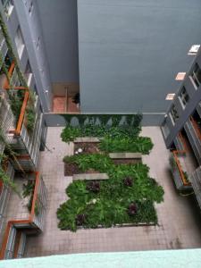 an overhead view of a garden in a building at Grace210 in Buenos Aires