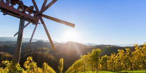 - une vue sur le soleil depuis un moulin à vent dans l'établissement Appartement Fam.Kremser, à Leutschach