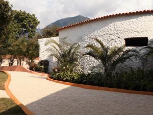 a walkway in front of a white building with palm trees at Villa Jardines de la Monarca in Rivera