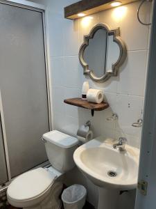 een badkamer met een toilet, een wastafel en een spiegel bij 5 Excelente Departamento Entero a Pasos del Lago in Puerto Varas