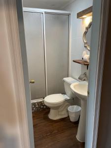 een badkamer met een toilet en een wastafel bij 5 Excelente Departamento Entero a Pasos del Lago in Puerto Varas