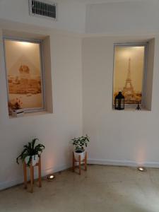 a white room with two windows and two plants at Lounge BA in Buenos Aires