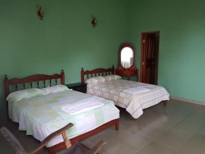 2 camas en una habitación con paredes verdes en cabañas playa guanico, en Tonosí