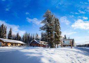 a log cabin in the snow with a tree at Arctic Divide Lodge in Dease Lake