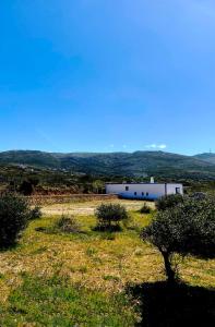 ein weißes Gebäude in der Mitte eines Feldes in der Unterkunft Tetrapolis cottage in Karpathos