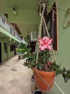 a plant in a hanging pot in a hallway at Porto Abraão Pousada in Abraão