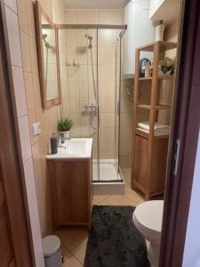 a bathroom with a shower and a sink and a toilet at Apartament Krupówki Centrum in Zakopane