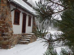 Domek Kozacki trong mùa đông