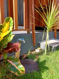 a garden with a faucet and a plant at Twiny's in Kuta Lombok