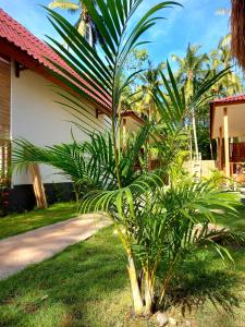 a palm tree in front of a house at Twiny's in Kuta Lombok