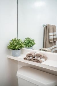 a bathroom shelf with two plants and a mirror at GLOBALSTAY 1 Bedroom & Den Condo in the Heart of Downtown Toronto in Toronto