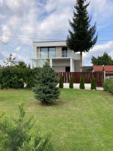 a white house with a tree in a yard at Mineral Apartman Diamond in Nyíregyháza