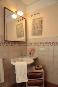 y baño con lavabo y espejo. en Agriturismo La Ronca, en San Vincenzo