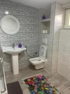 a bathroom with a sink and a toilet and a mirror at Apartman Maki in Sarajevo +29 photos