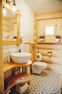 un bagno con lavandino e WC di Felusiowa Chata a Laskowa