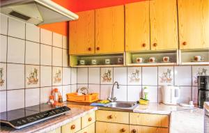 Kuchyňa alebo kuchynka v ubytovaní Holiday Home Sobòtka Pod Debami