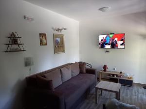 TV a/nebo společenská místnost v ubytování Savić Tara