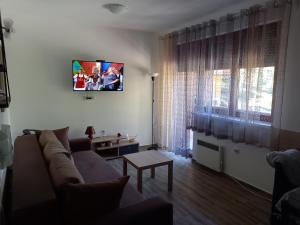 TV a/nebo společenská místnost v ubytování Savić Tara