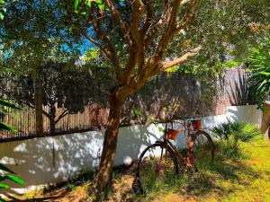 Una bicicleta estacionada junto a un árbol al lado de una valla en Ca Na Fulla. Agradable casa con jardín y piscina., en Colonia de San Pedro