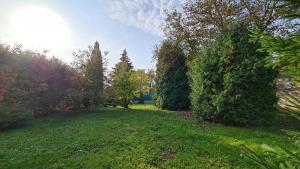 Fotografie z fotogalerie ubytování Chalupa Albrechtice nad Orlicí v destinaci Albrechtice nad Orlicí