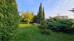 Fotografie z fotogalerie ubytování Chalupa Albrechtice nad Orlicí v destinaci Albrechtice nad Orlicí